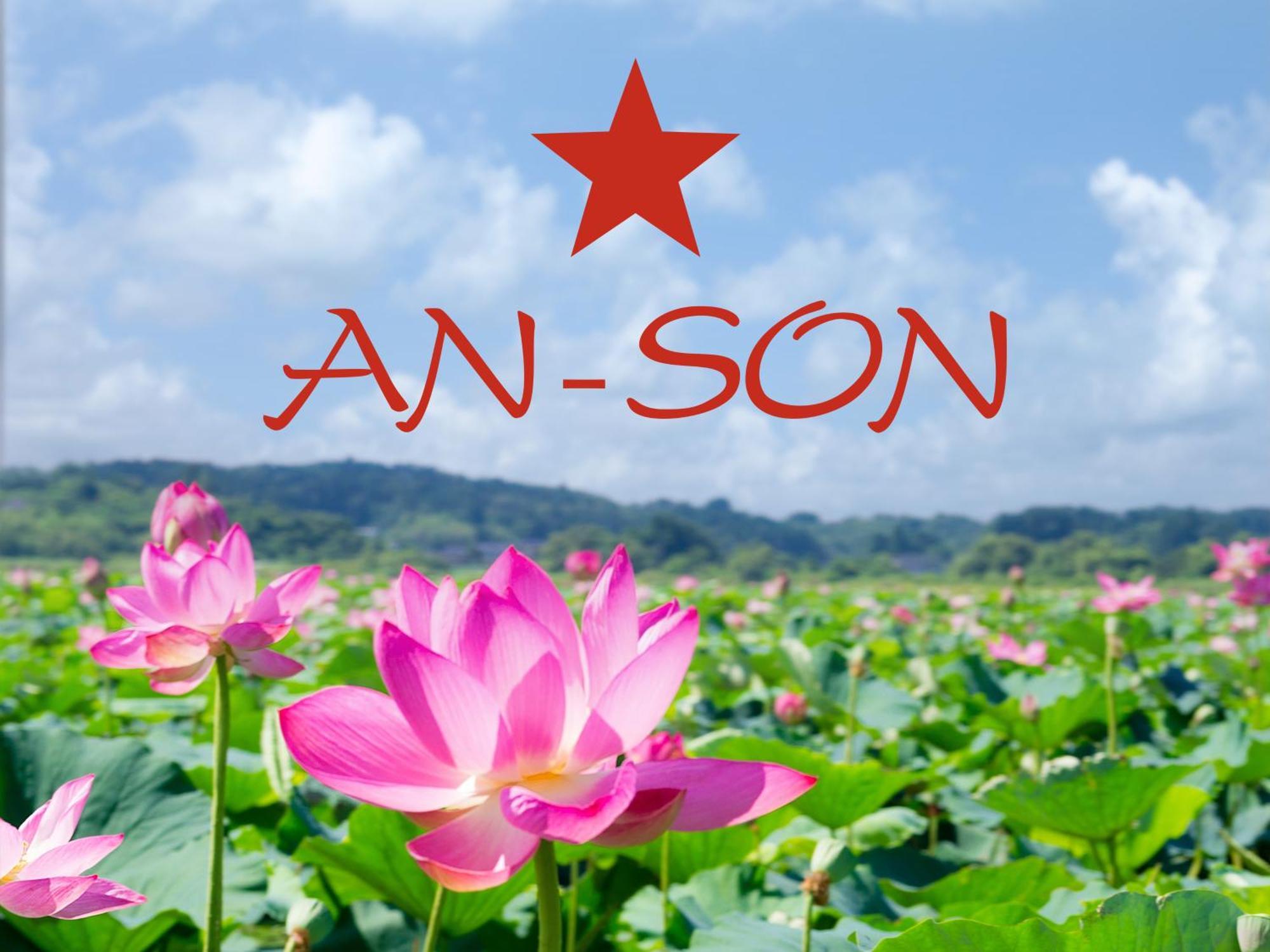 זיילונה גאורה An-Son Apartamenty מראה חיצוני תמונה